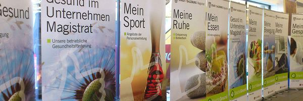 Fliegende Fische - Magistrat Salzburg Rollups Fliegende Fische - Magistrat Salzburg Rollups