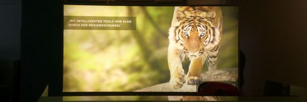 Algo - LED-Leuchtkasten Algo - LED-Leuchtkasten